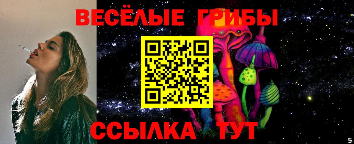 Галлюциногенные грибы мицелий Кашира